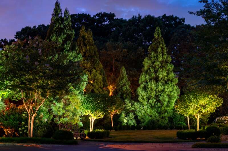 Functional Lighting Design: Trees and Plants