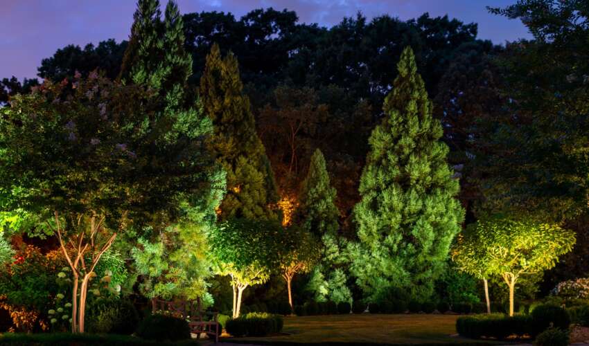 Functional Lighting Design for Trees and Plants