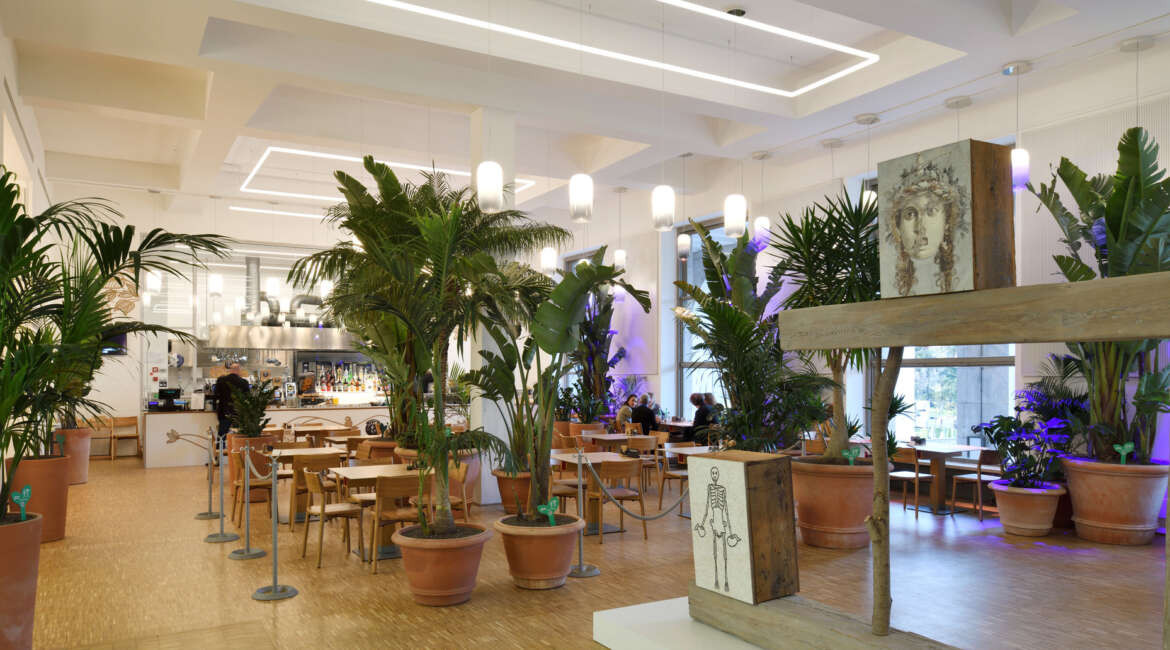 Aesthetic lighting to fit your interior design