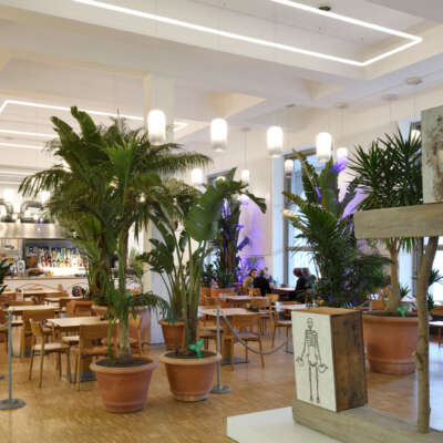 Aesthetic lighting to fit your interior design