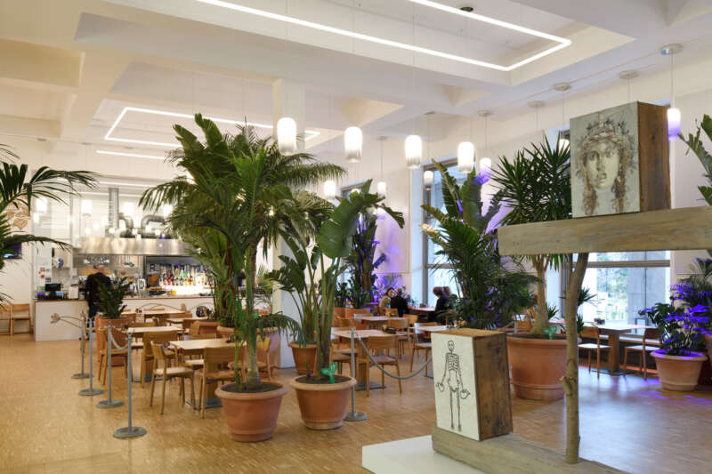 Aesthetic lighting to fit interior design for businesses  