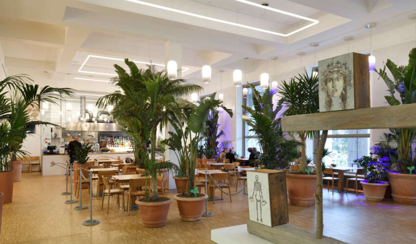 Aesthetic lighting to fit your interior design
